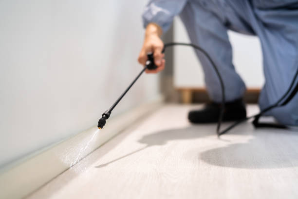 Licensed Termite Control service in Bath County County, VA - Nex Pest Control