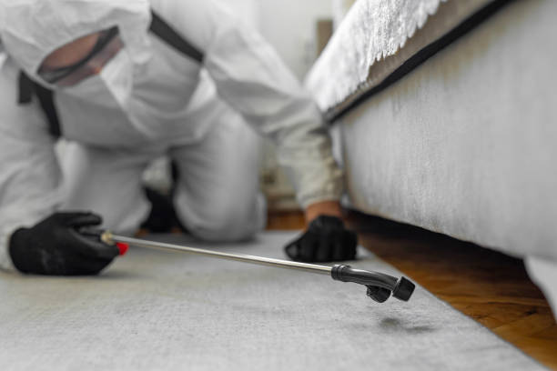 Professional Termite Control technician working in Bath County County, VA